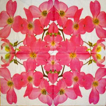 030 Orchids - 3-ply
